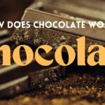 チョコレートの驚くべき効果とは?カカオ豆の発酵食品だった