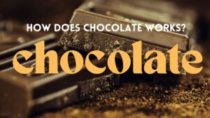 チョコレートの驚くべき効果とは?カカオ豆の発酵食品だった
