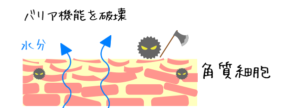 バリア機能崩壊イメージ